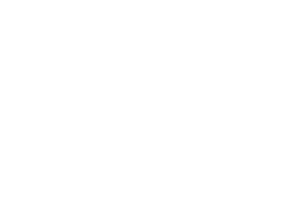 Waldl & Partner